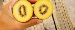 Skelton Kiwi