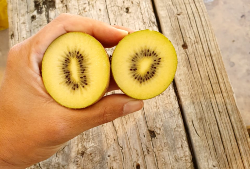 Skelton Kiwi